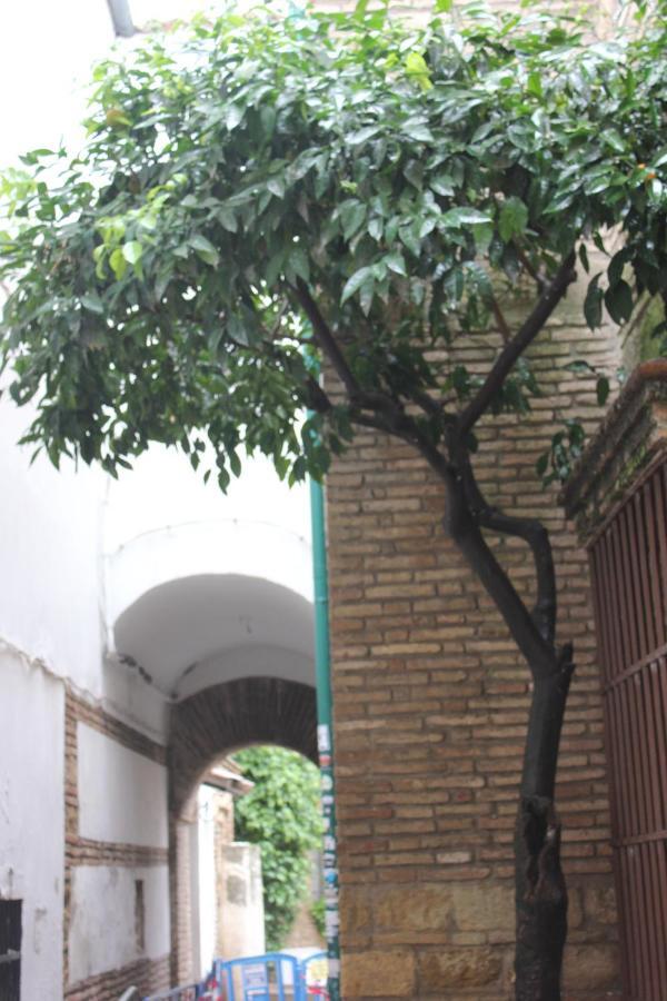 Loft Turistico En Casco Historico, Wifi Y Tv Satelite Gratis Apartment Cordoba Exterior photo